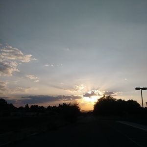 Meet your Posher, Bronson